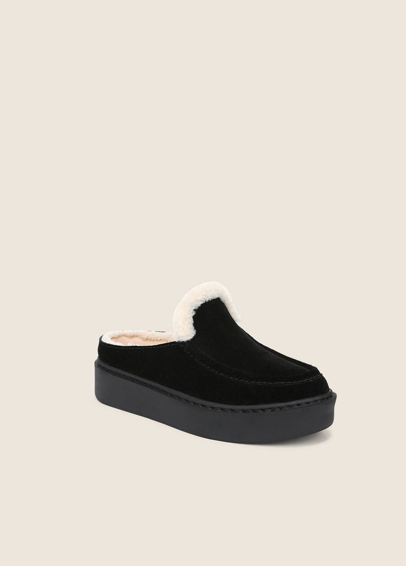 THE SUNNY PLATFORM MULE