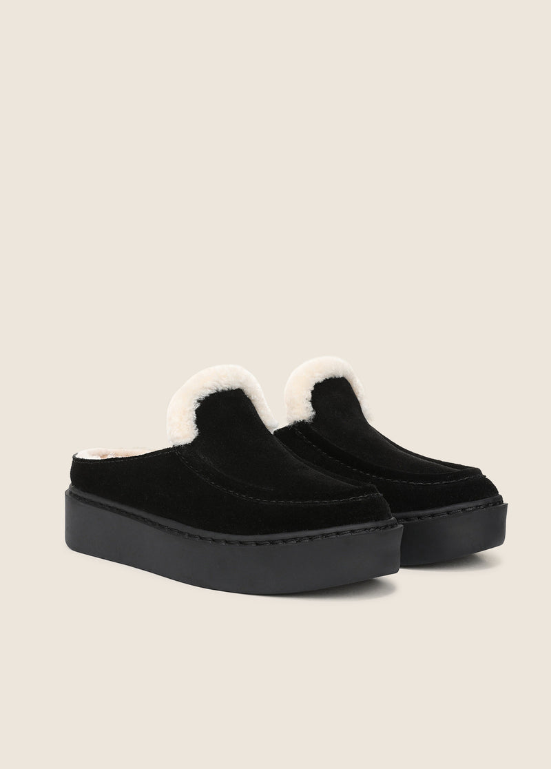 THE SUNNY PLATFORM MULE