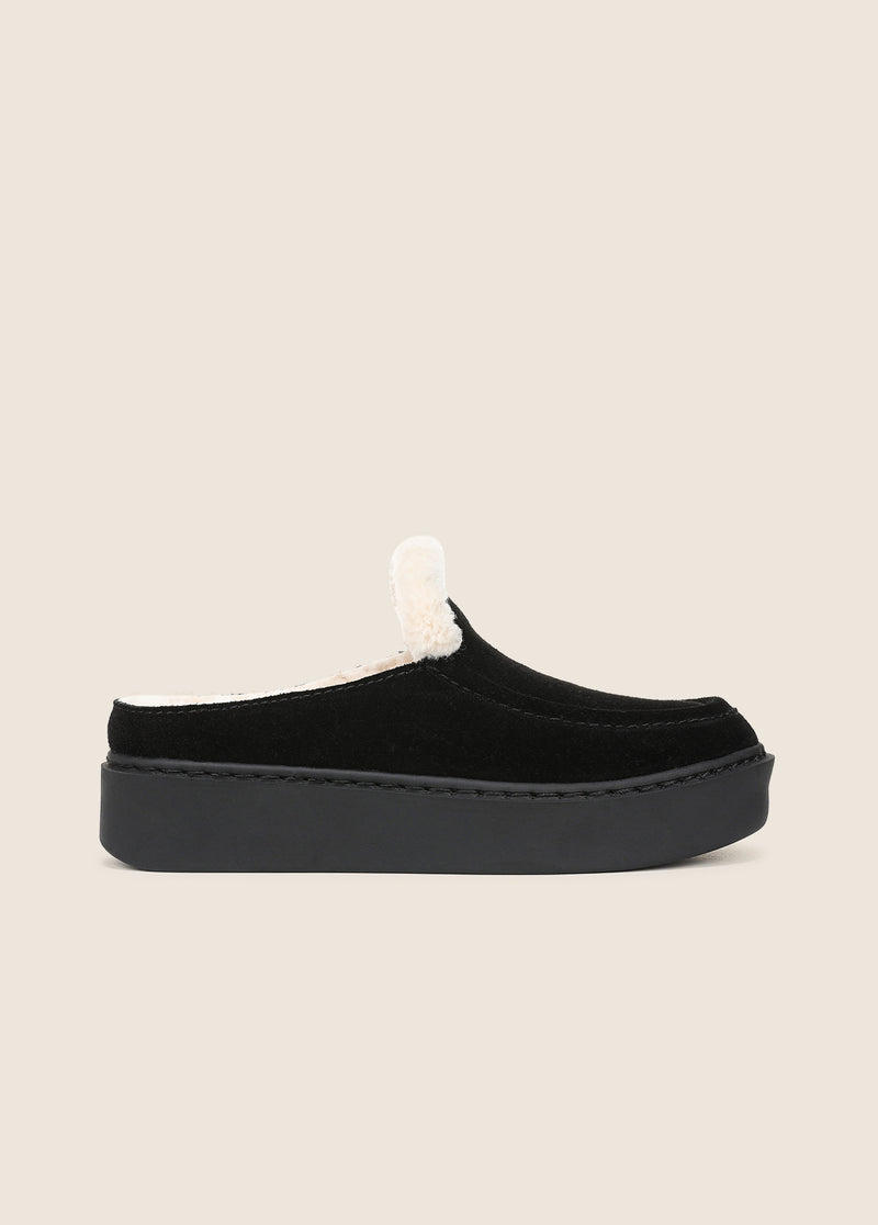 THE SUNNY PLATFORM MULE