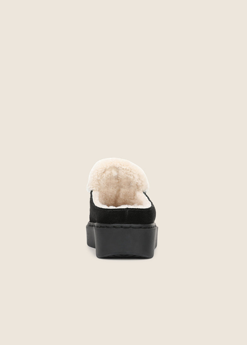 THE SUNNY PLATFORM MULE