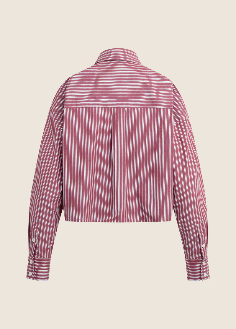 THE NEXT CHAPTER SHIRT