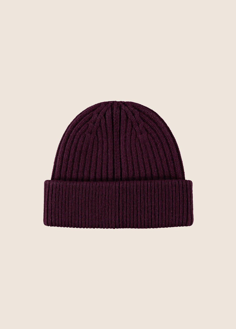 THE CLASSIC LOGO BEANIE