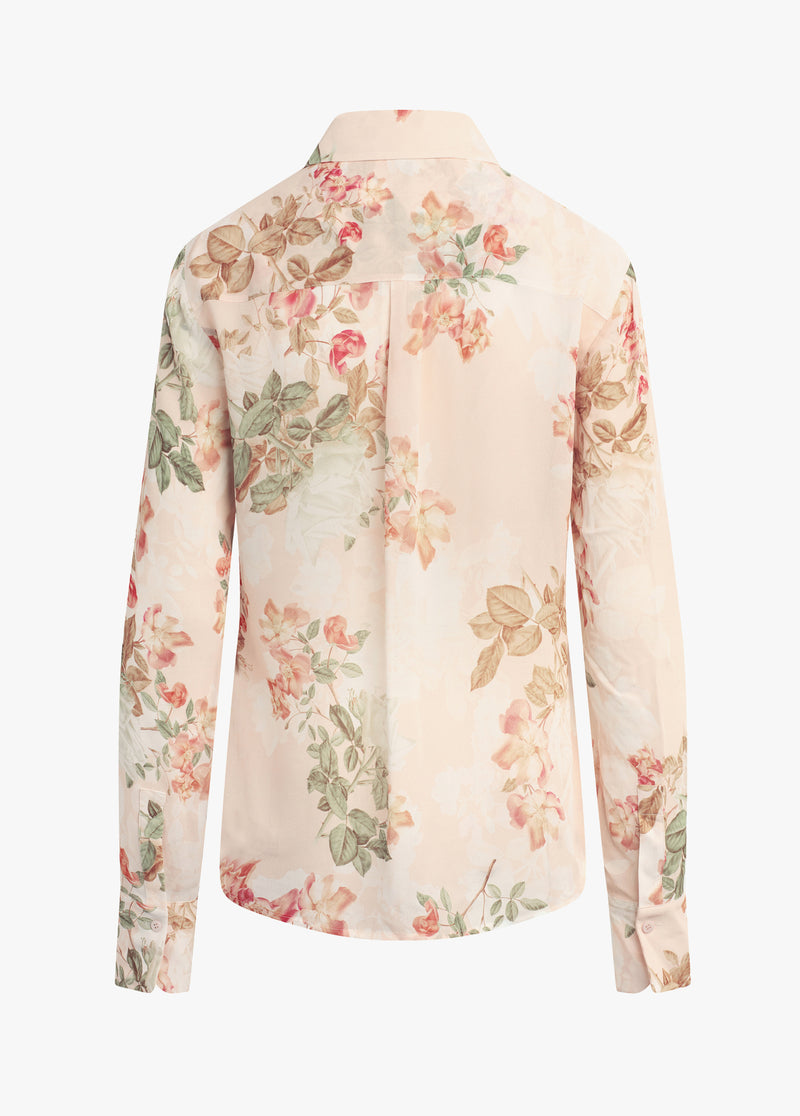 light peach rose