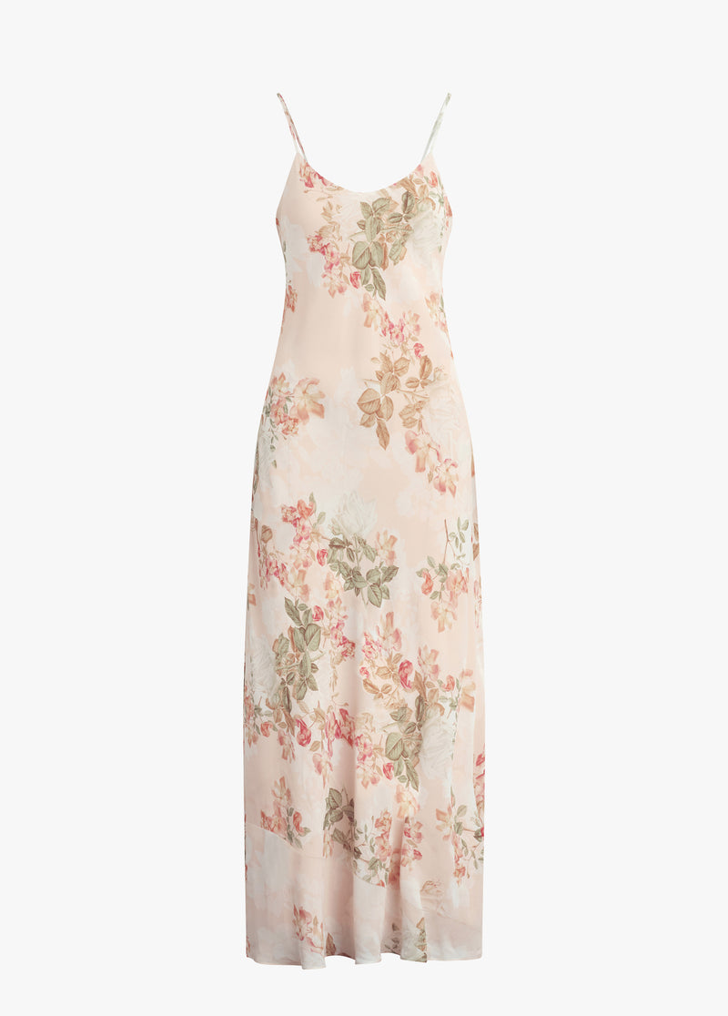 light peach rose