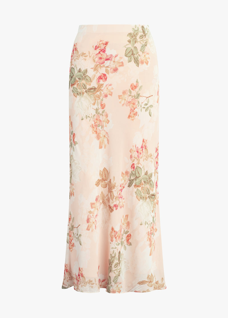 light peach rose