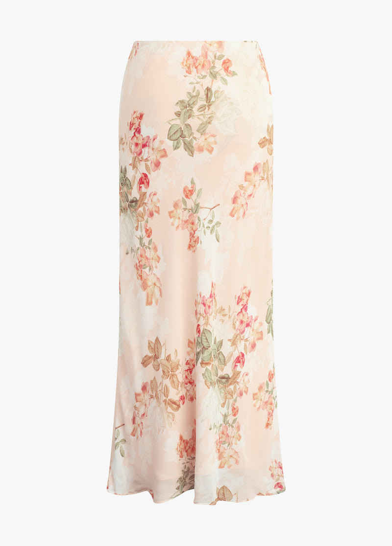 light peach rose
