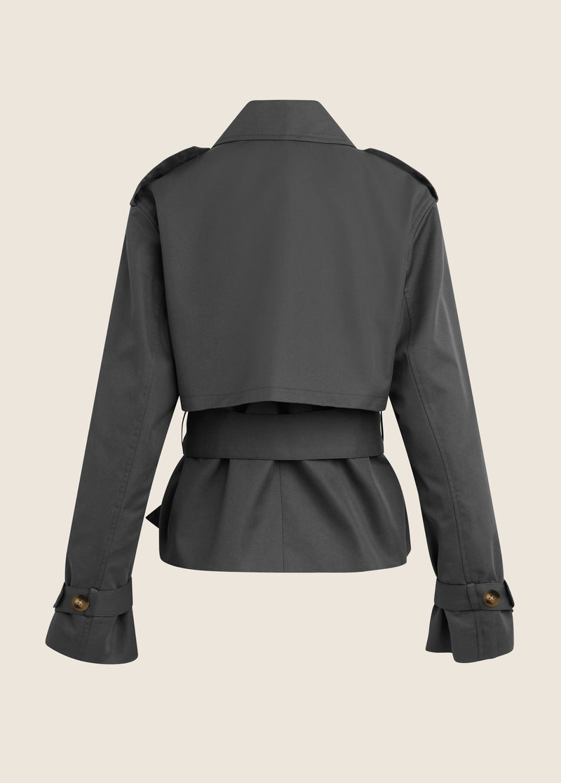 THE CROPPED CHARLES TRENCH