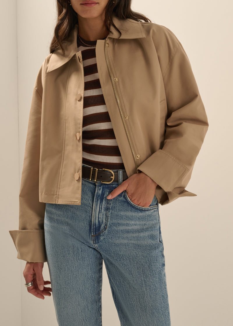 THE RUE CROPPED TRENCH