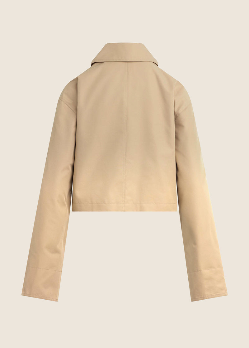 THE RUE CROPPED TRENCH