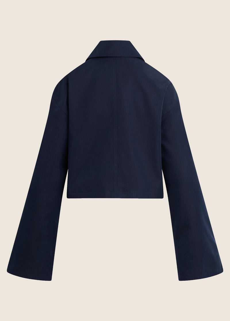 THE RUE CROPPED TRENCH