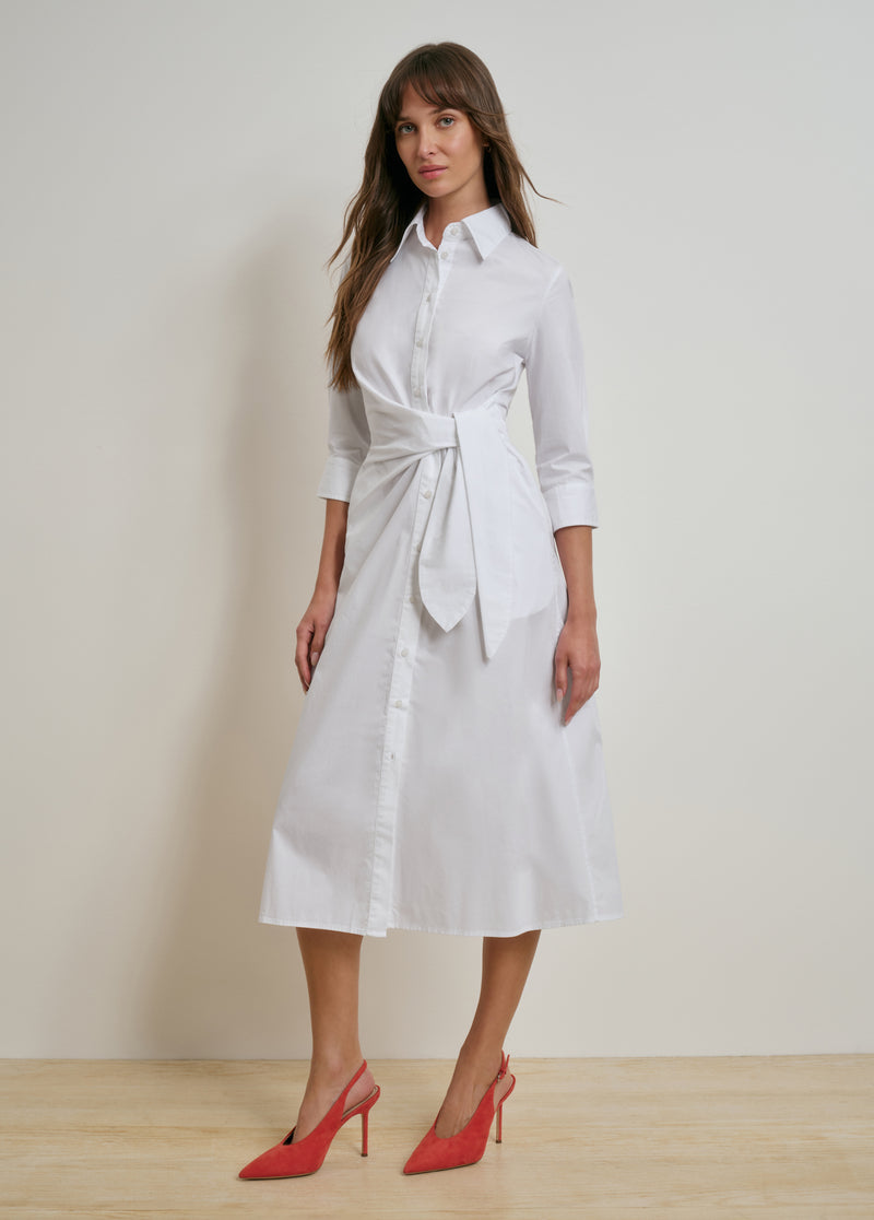 THE WELL MANNERED DRESS