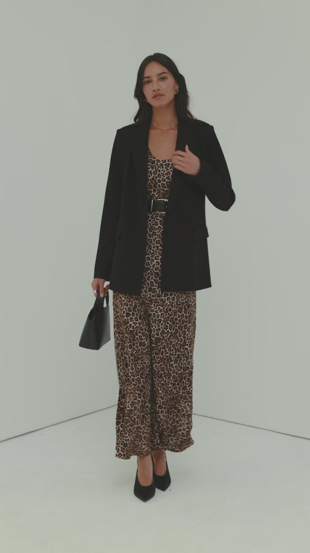 leopard